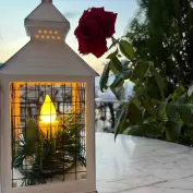 Buyukada En Iyi Restoranlar 2