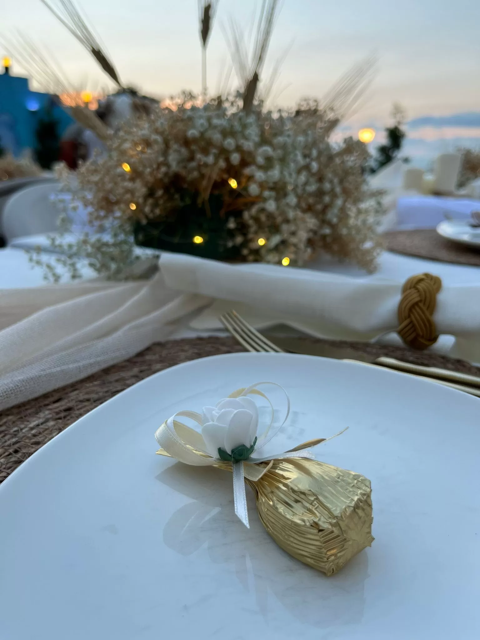 Buyukada Organizasyon 1