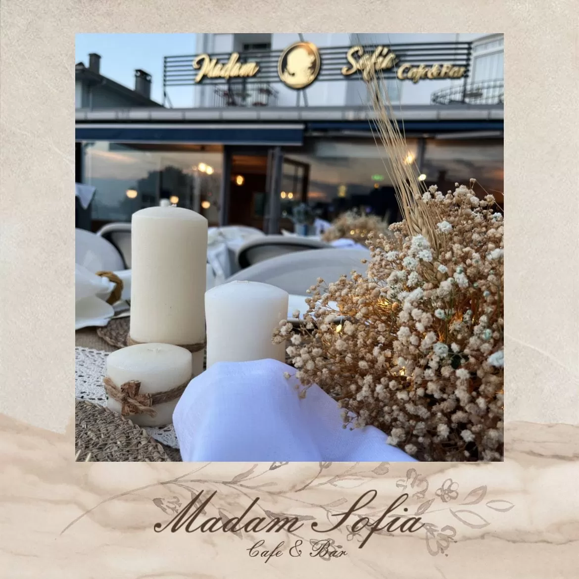 madam sofia cafe bar