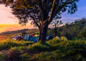 Büyükada Kamp Alanları: Şehirden Uzakta Doğayla İç İçe
